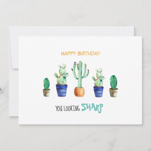 Happy Birthday card with cactuses for friend