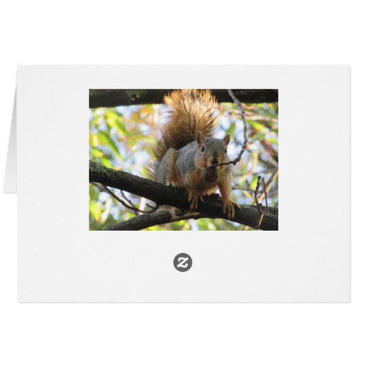 Happy Birthday Card with Cardinals and Squirrel (Back Horizontal)