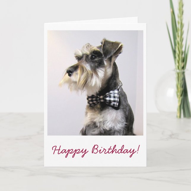 Happy Birthday card with picture of Schanuzer (Front)