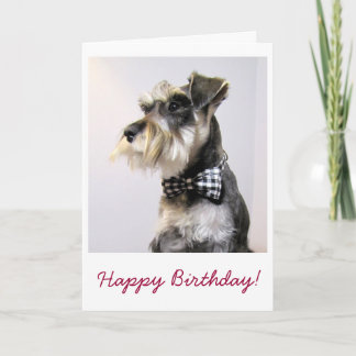 Happy Birthday card with picture of Schanuzer