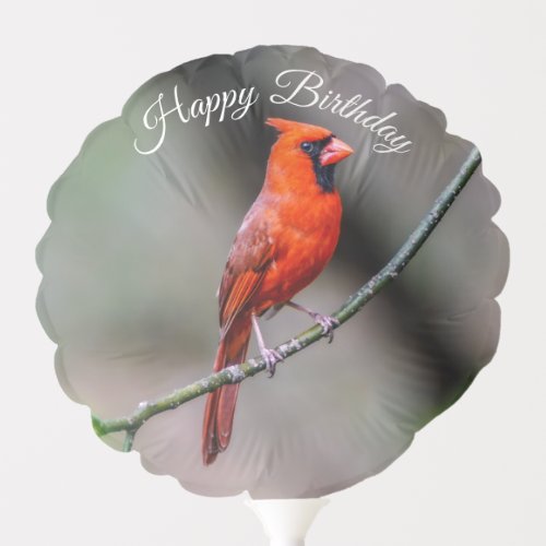 Happy Birthday Cardinal Balloon