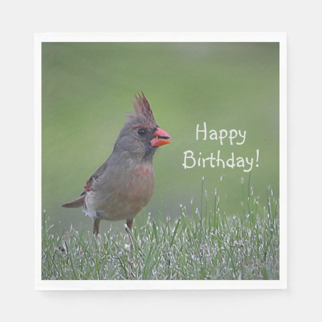 Happy Birthday Cardinal Napkins (Front)