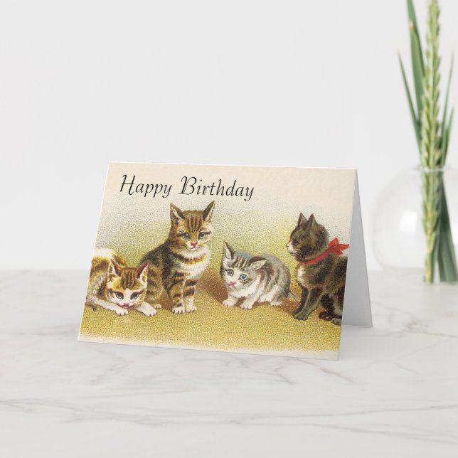 Happy Birthday Cards - Kittys (Front)