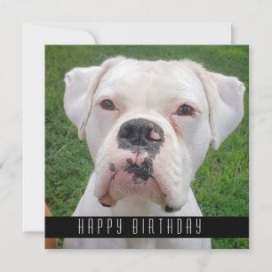 Happy Birthday Cards With Dogs, Add Your Dog