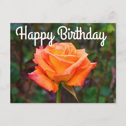 Happy Birthday Caribbean Rose 2 Postcard