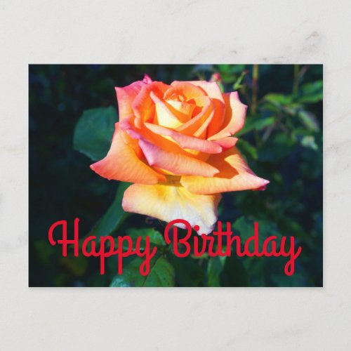 Happy Birthday Caribbean Rose 3 Postcard