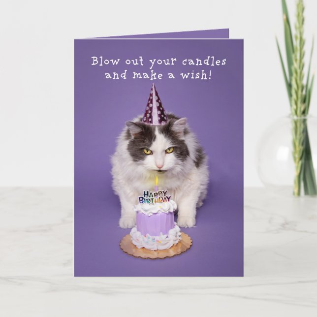 Happy Birthday Cat Blowing Candle On Cake Humor Holiday Card (Front)