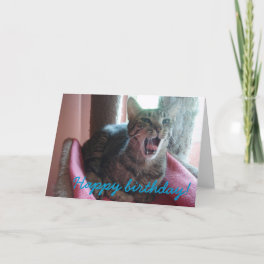 Happy Birthday cat greeting card
