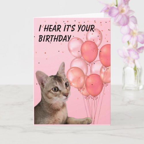 Happy Birthday Cat Holding Balloon Bouquet Card