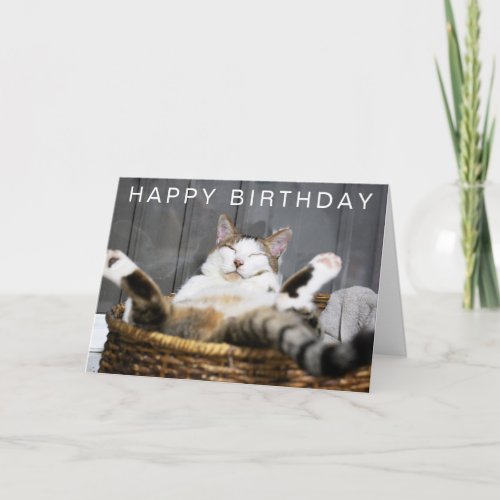 Happy Birthday  Cat in Bed Card