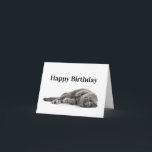 Happy Birthday Cat Lover Card<br><div class="desc">Happy Birthday Cool Cat Card To edit this card, simply click "Personalize this template" to get started. Customize with your unique and personal text to make this birthday card your own. Please feel free to make this card as unique as possible. #Happy #Birthday #To #You #Card #Friends #Family #Silly #Adorable...</div>