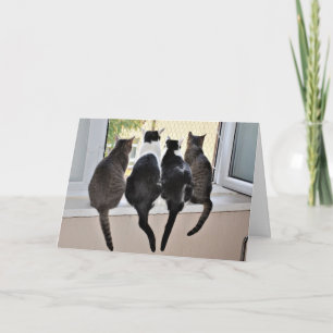 Happy Birthday Cat Lover Card