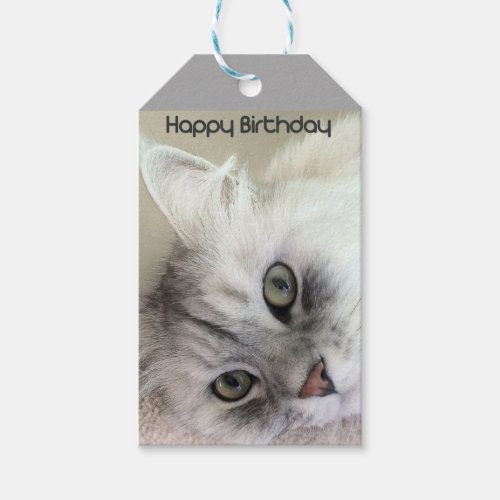 Happy Birthday Cat Lover Gift Tag