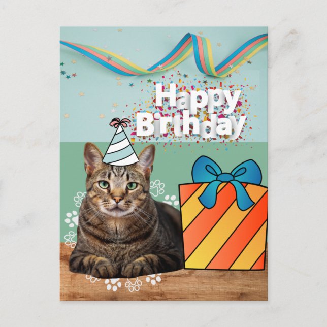 Happy birthday cat postcard (Front)