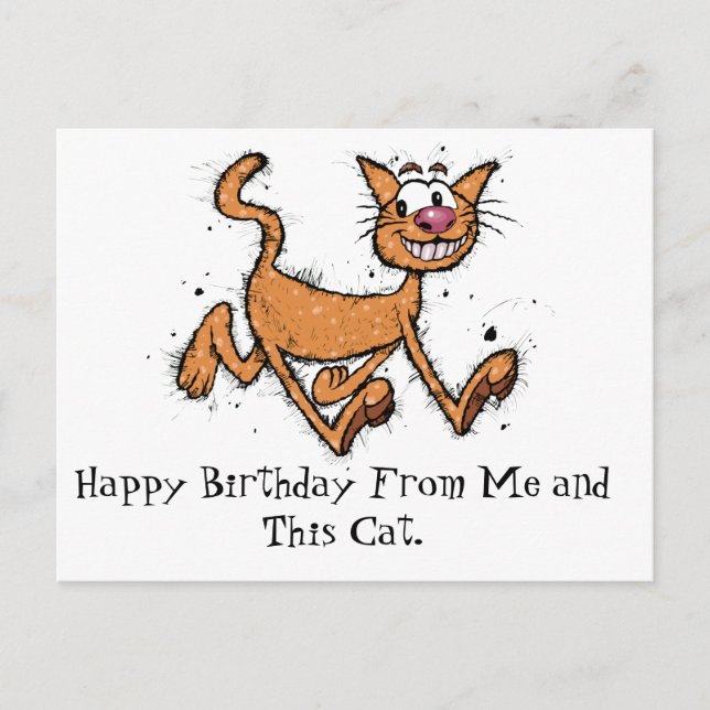 Happy Birthday Cat Postcard (Front)