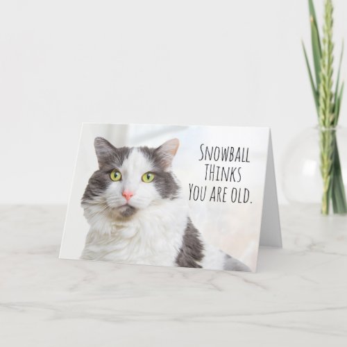 Happy Birthday Cat Thinks You Are Old Humor Holiday Card