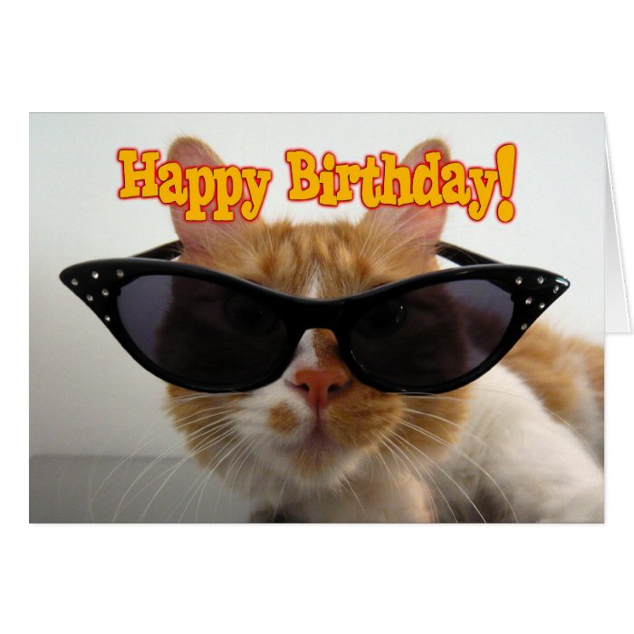 Happy Birthday   Cat Wearing Sunglasses Greeting Cards