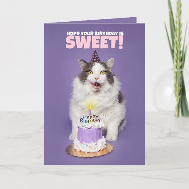 Happy Birthday Cat With Cake Licking Face Humor Holiday Card (Front)
