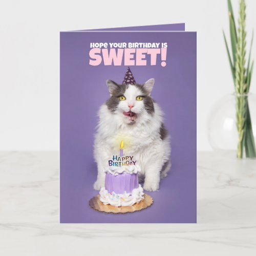 Happy Birthday Cat With Cake Licking Face Humor Holiday Card