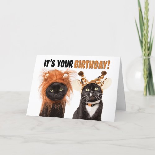 Happy Birthday Cats Dressed as Wild Animals Holiday Card