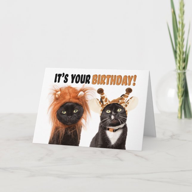Happy Birthday Cats Dressed as Wild Animals Holiday Card (Front)