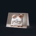 Happy Birthday Cats For Sister Card<br><div class="desc">Two Persian cats are humorously squeezed into a single white shirt that reads "OUR GET ALONG SHIRT with disgruntled expressions on their faces.
Can be used for any sibling's birthday.
Text is editable.</div>