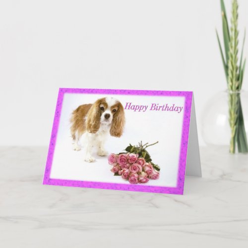 Happy Birthday Cavalier King Charles Spaniel Card