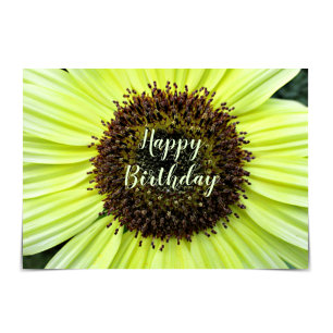 "Happy Birthday" Cheerful Sunflower Card