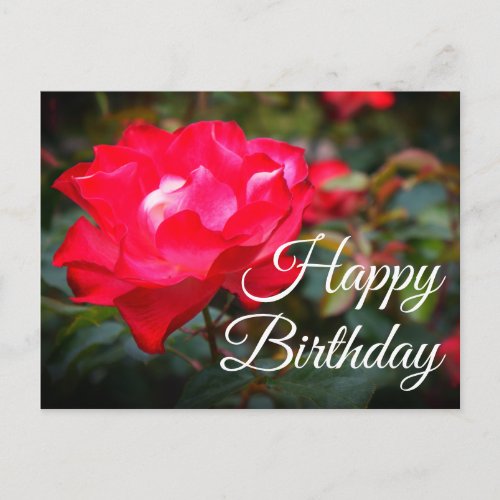 Happy Birthday Cherry Parfait Rose 2 Postcard