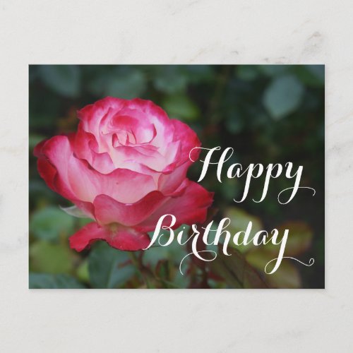Happy Birthday Cherry Parfait Rose 3 Postcard
