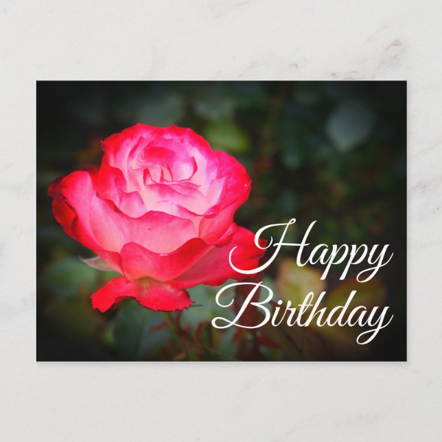 Happy Birthday Cherry Parfait Rose #3 Postcard (Front)