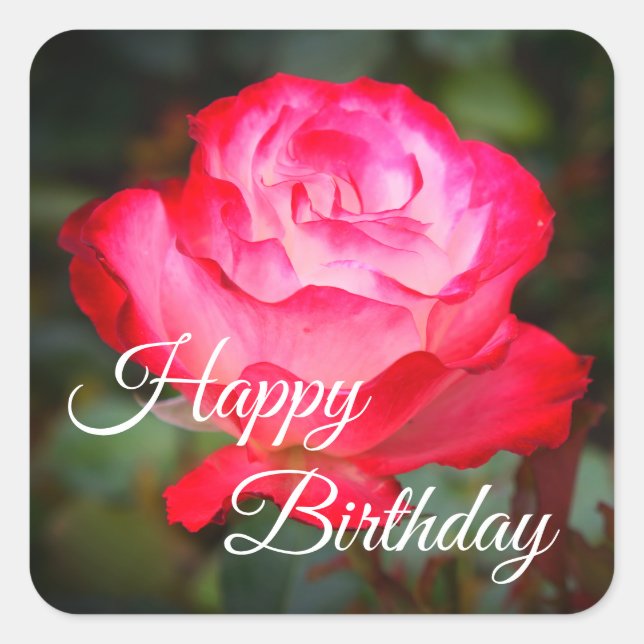 Happy Birthday Cherry Parfait Rose #3 Stickers (Front)