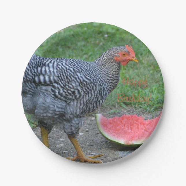 Happy Birthday Chicken Loves Watermelon Paper Plates (Front)