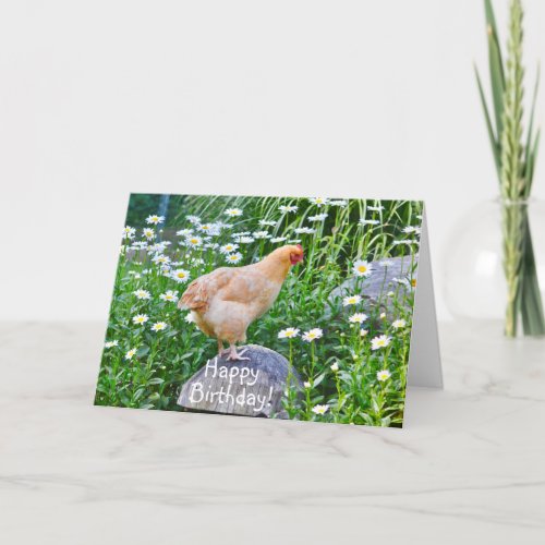 Happy Birthday Chicken With Daisies Card