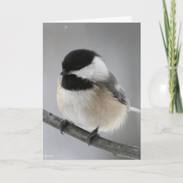 Happy Birthday Chicky Poo! Card (Front)