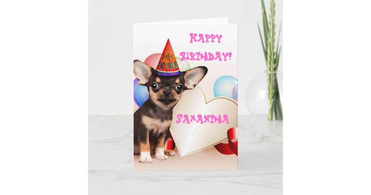 Happy Birthday Chihuahua greeting card Zazzle
