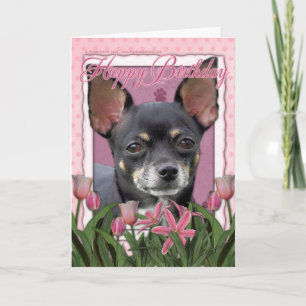 Happy Birthday - Chihuahua - Isabella Card
