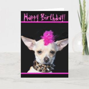 Happy Birthday Chihuahua Punk greeting card