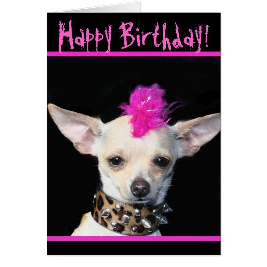 Happy Birthday Chihuahua  Punk greeting card Zazzle com