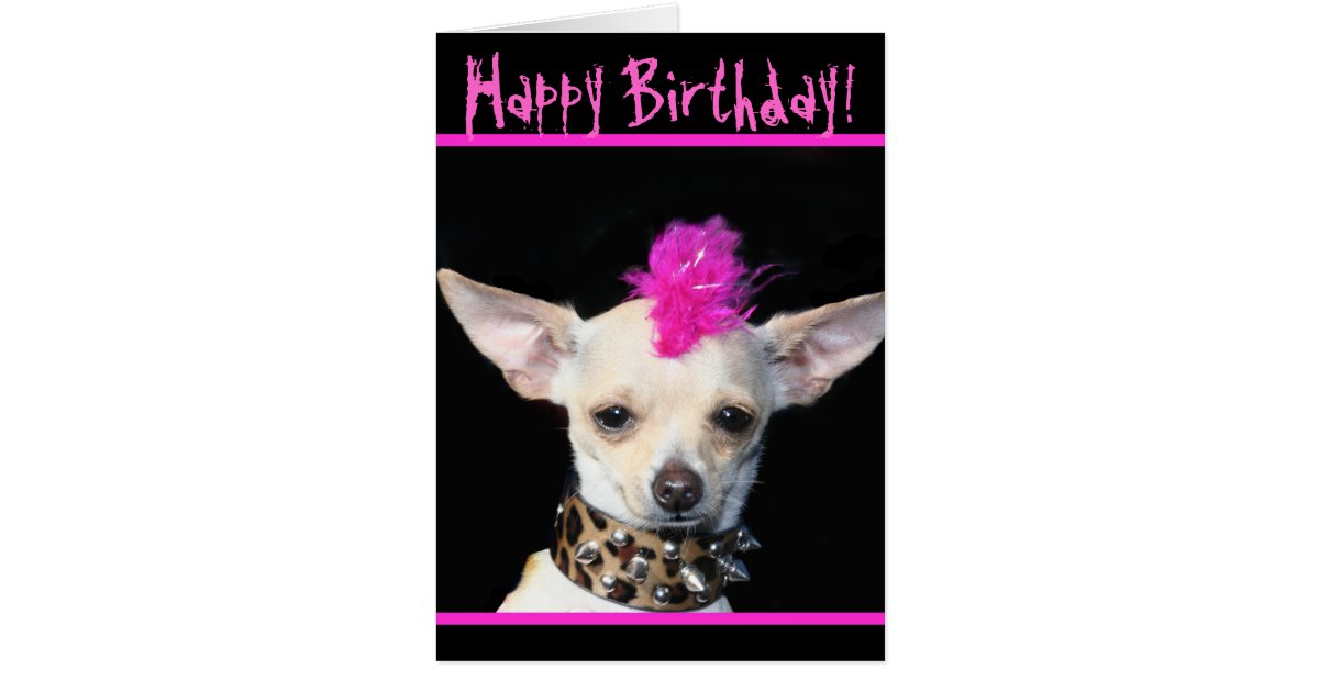 Happy Birthday Chihuahua Punk greeting card | Zazzle.com