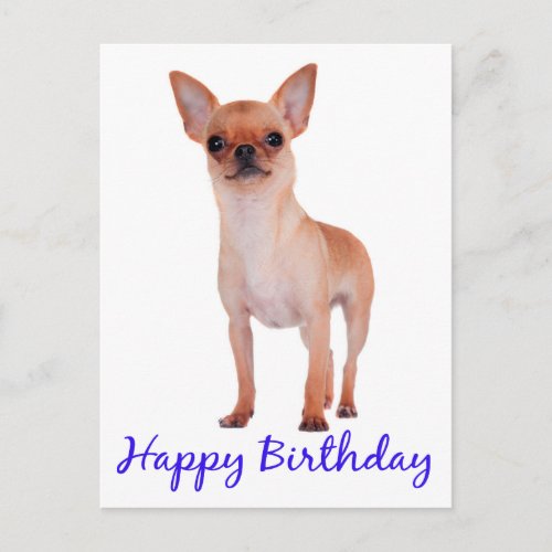 Happy Birthday Chihuahua Puppy Blue _ Verse Postcard