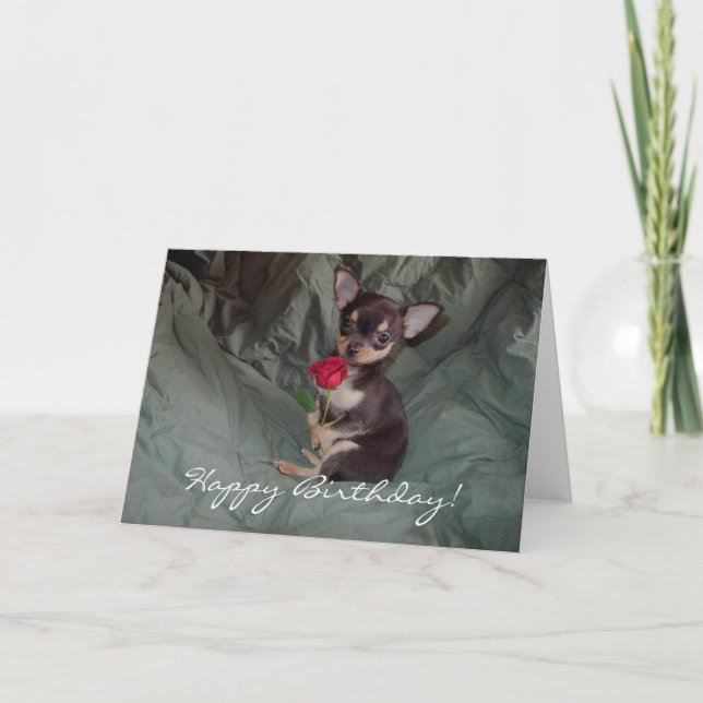 Happy Birthday Chihuahua Puppy Card (Front)