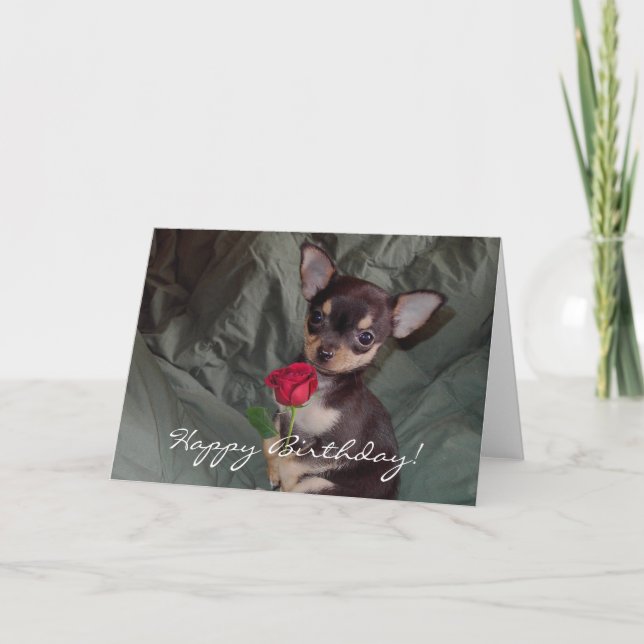 Happy Birthday Chihuahua Puppy Card (Front)