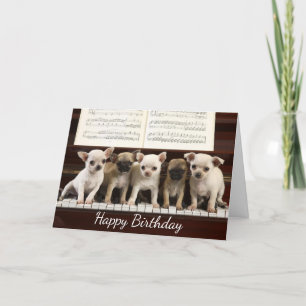 Happy Birthday Chihuahua Puppy Dog ( Chewawa ) Card