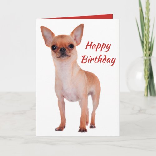 Happy Birthday Chihuahua Puppy Dog Dogs Card