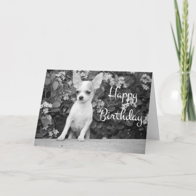 Happy Birthday Chihuahua Puppy Dog Greeting Card (Front)