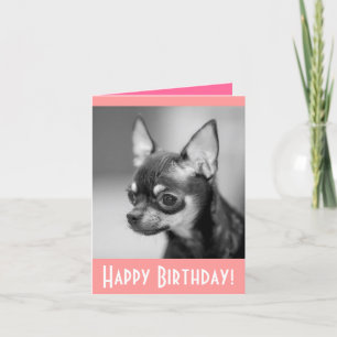 Happy Birthday Chihuahua Puppy Dog Greeting Card