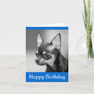 Happy Birthday Chihuahua Puppy Dog Greeting Card
