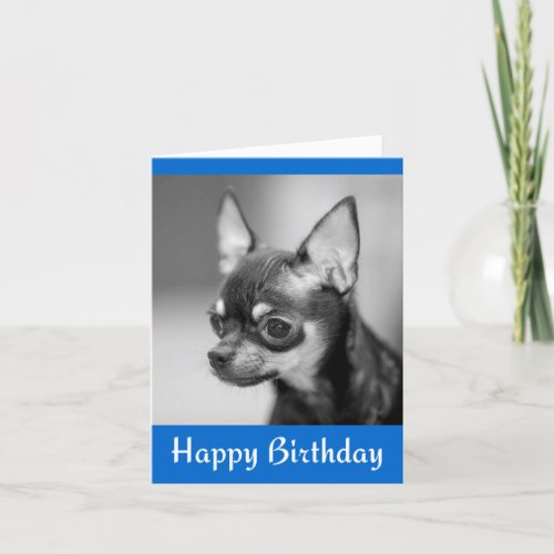 Happy Birthday Chihuahua Puppy Dog Greeting Card