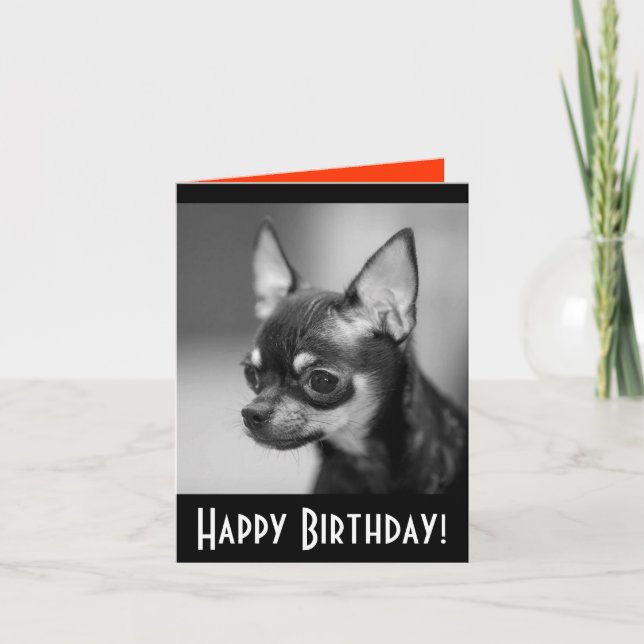Happy Birthday Chihuahua Puppy Dog Greeting Card (Front)